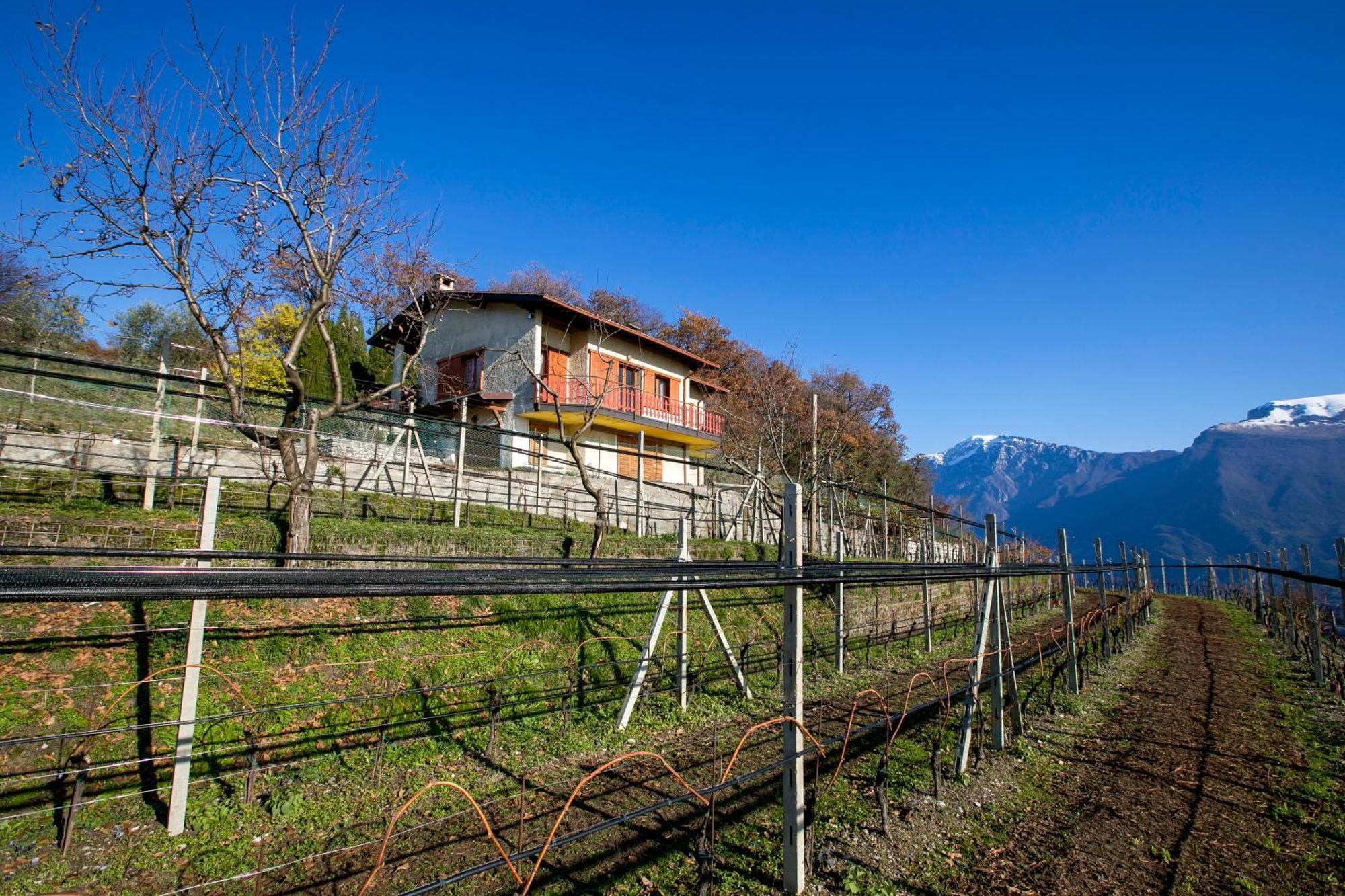 Balcone Panoramico Sul Garda - Happy Rentals Tremosine Екстер'єр фото